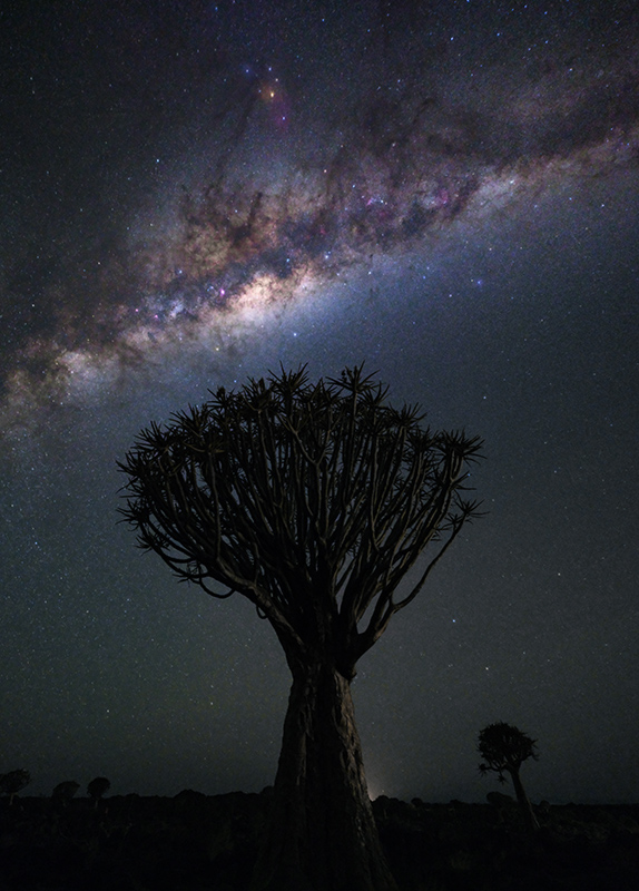 fujifilm-gfx-100-ii-sample-01