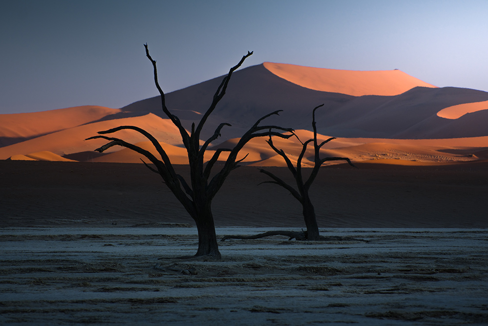 fujifilm-gfx-100-ii-sample-02