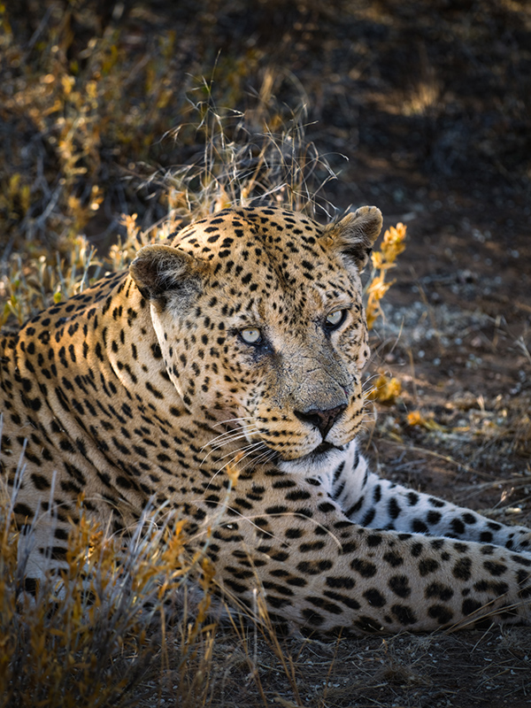 fujifilm-gfx-100-ii-sample-03