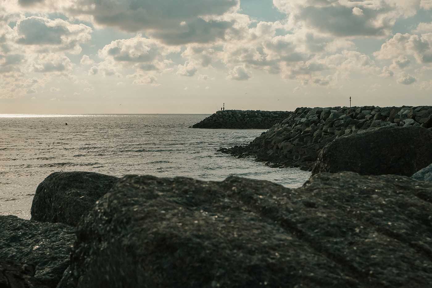 fujifilm-x-m5-sample-04 fujifilm-x-m5-sample-04