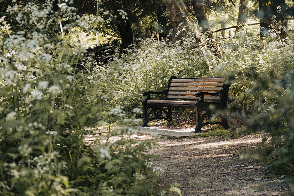 fujifilm-x-s20-sample-image-01