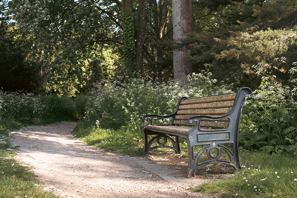 fujifilm-x-s20-sample-image-03