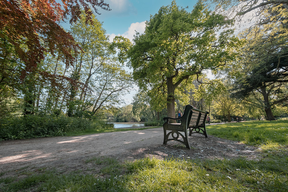 fujifilm-x-s20-sample-image-04