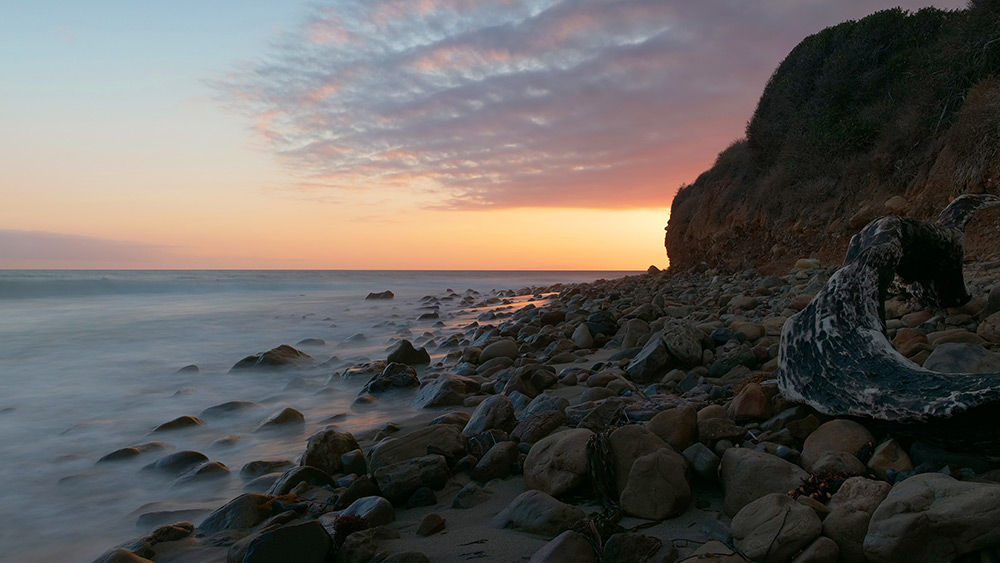 Panasonic GH5 sample image Panasonic GH5 sample image