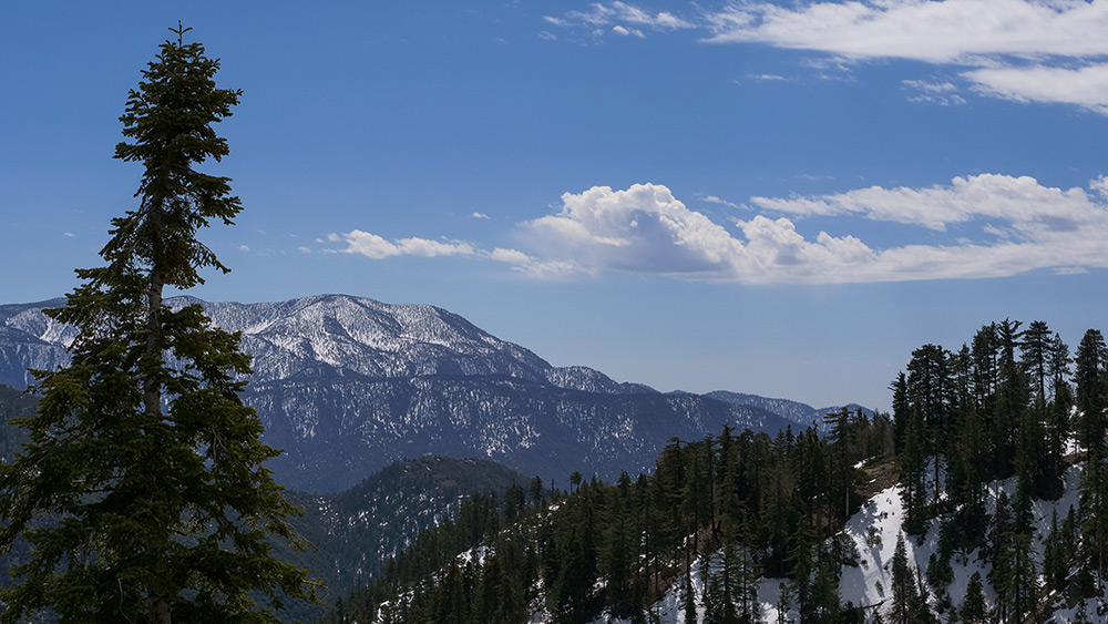 gh5m2-leica-dg12-60-sample gh5m2-leica-dg12-60-sample