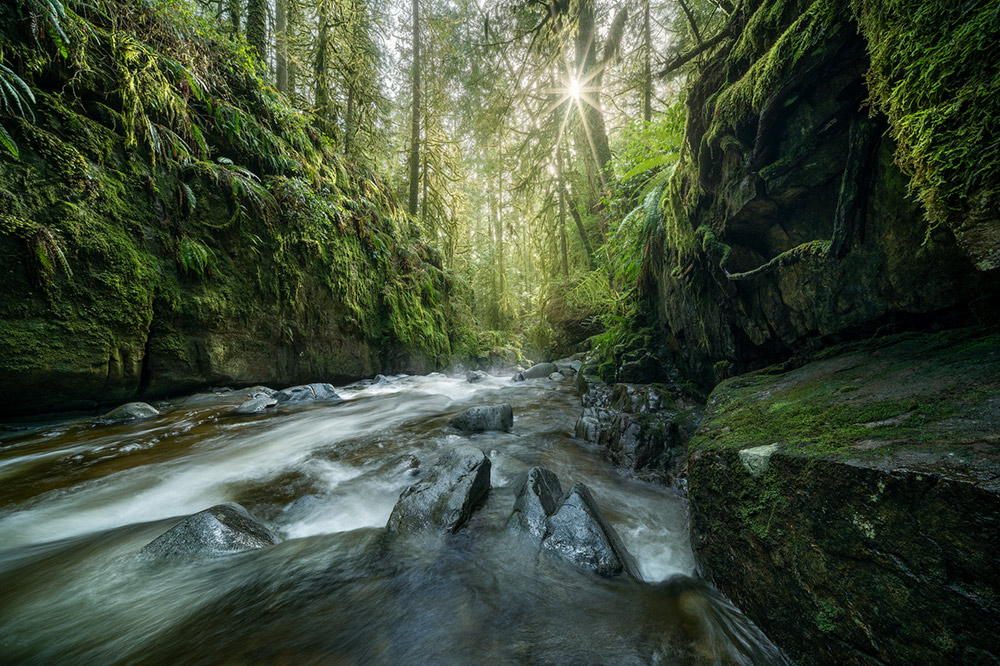 laowa-12-24mm-zoom-lens-sample-1