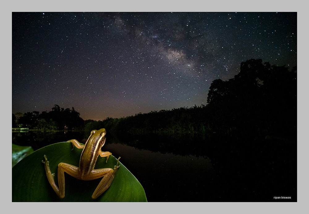 laowa-15mm-f4-canon-ef-1