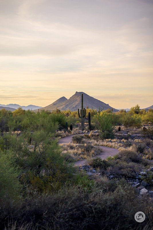 laowa-58mm-lens-sample01 laowa-58mm-lens-sample01