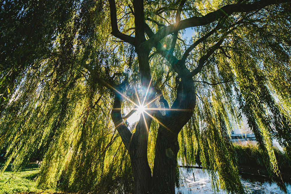 laowa-6mm-lens-sample-photos-05 laowa-6mm-lens-sample-photos-05