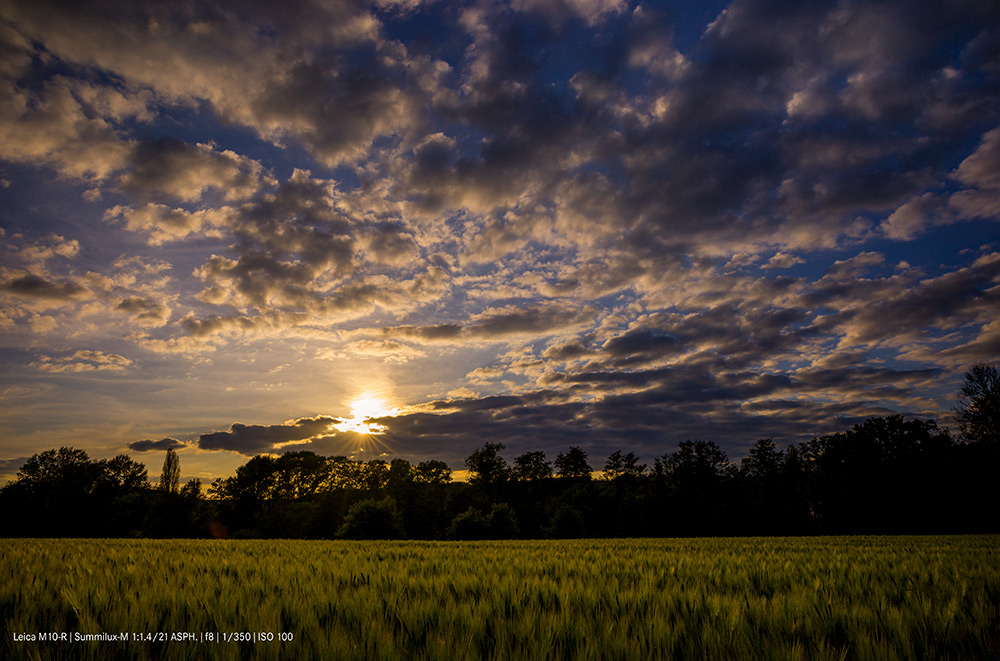 leica-m10-r-sample