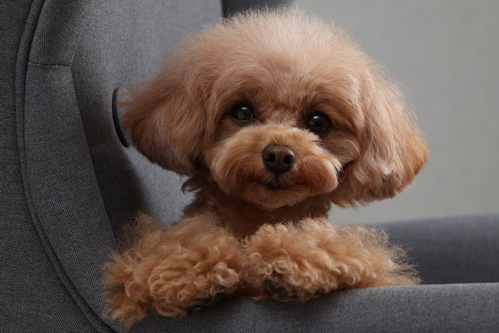 new-lens-sample-rf-s18-150mm-01 new-lens-sample-rf-s18-150mm-01