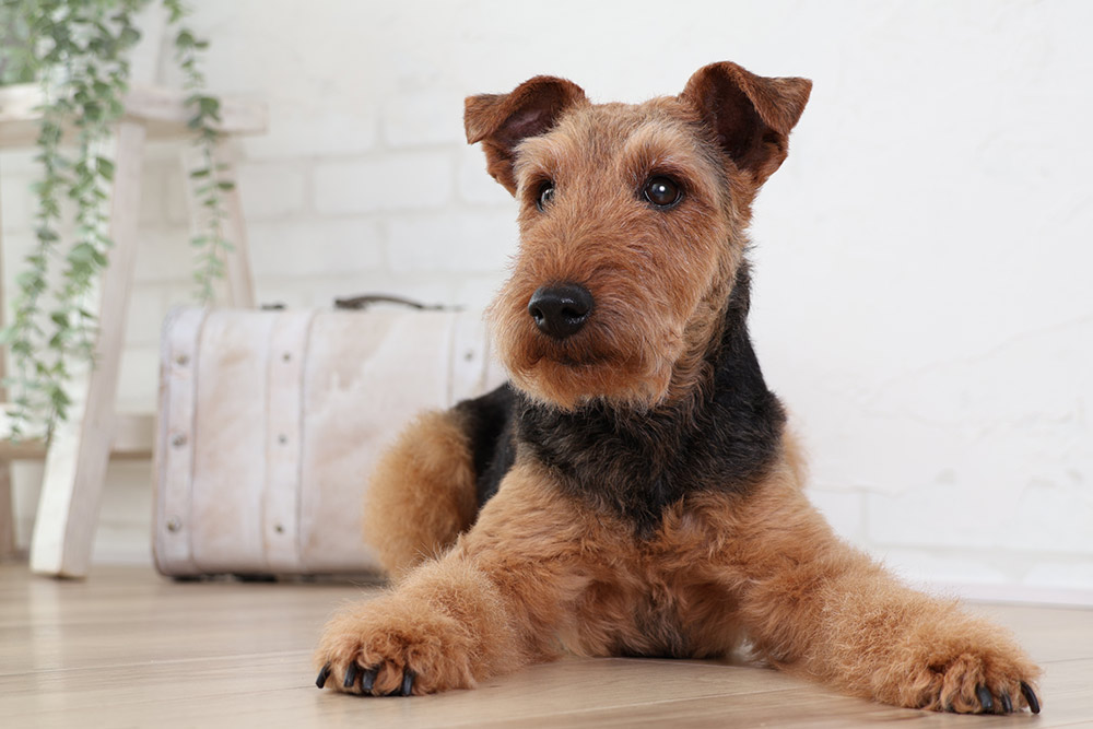 new-lens-sample-rf-s18-150mm-02 new-lens-sample-rf-s18-150mm-02