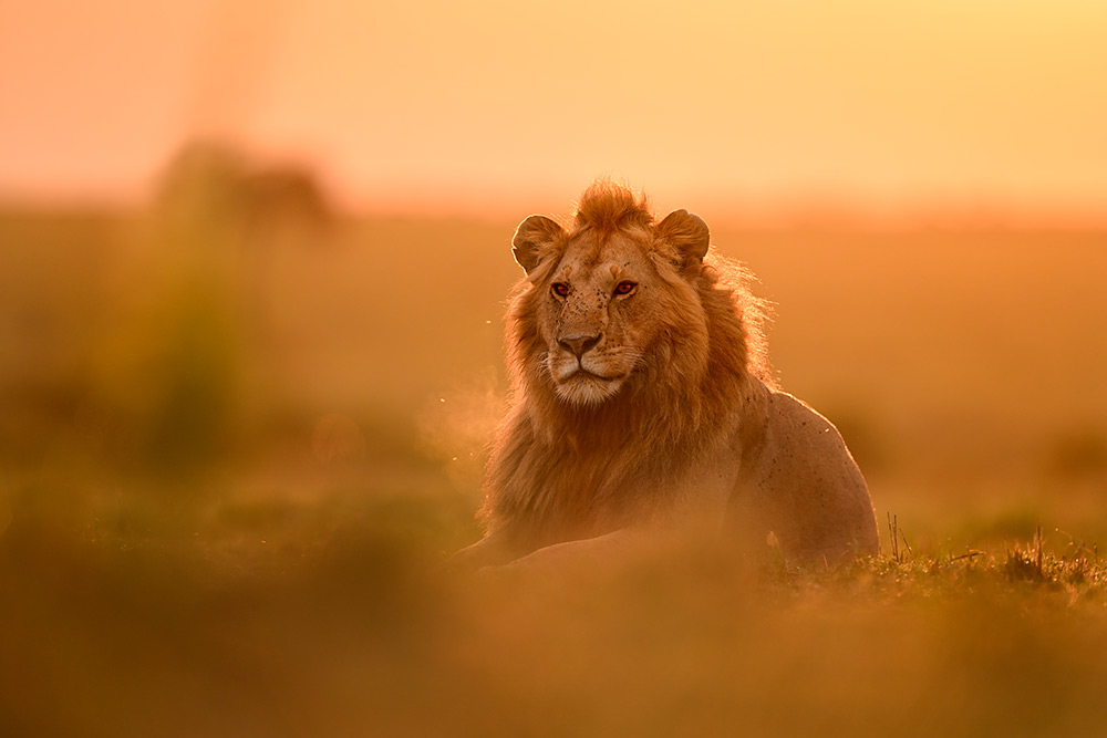 nikon-z-400mm-sample-2 nikon-z-400mm-sample-2