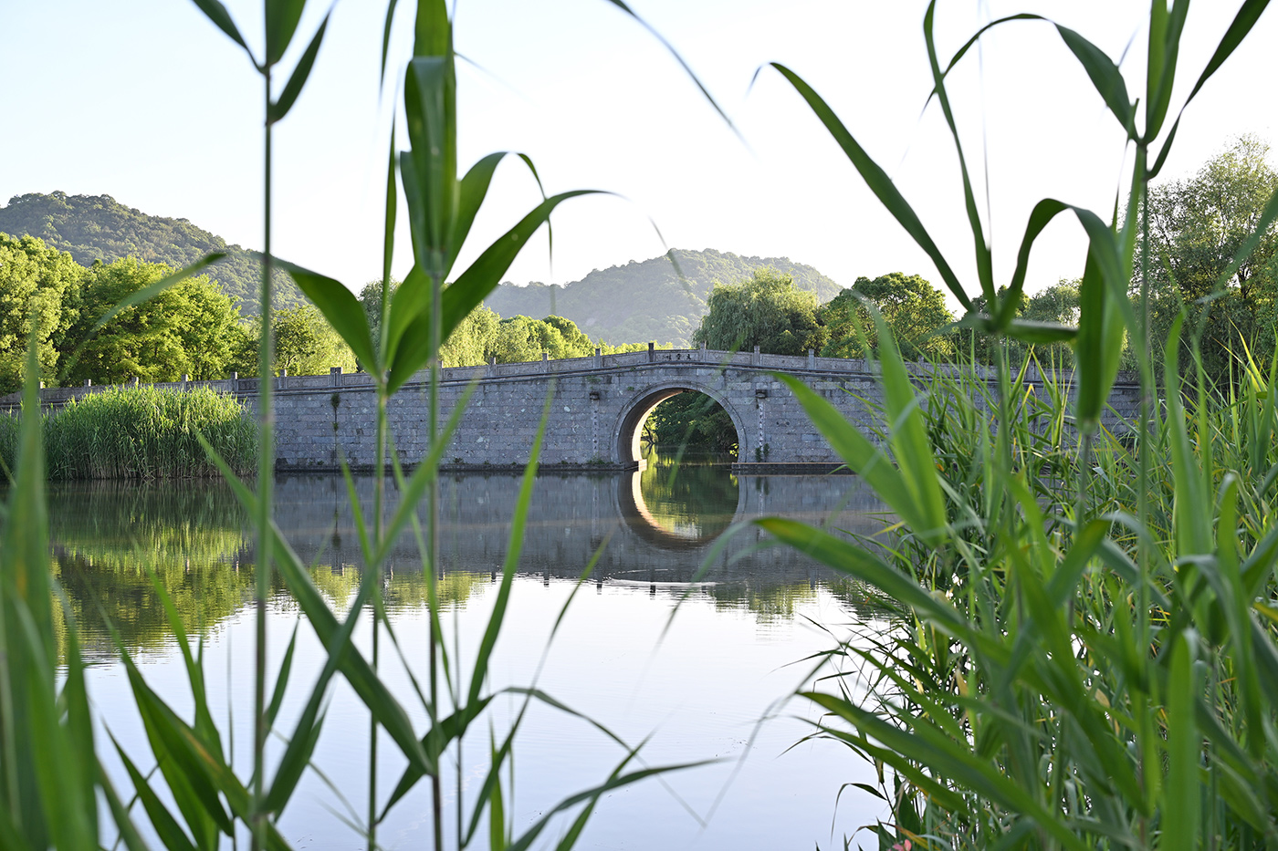 nikon-z-50mm-f14-lens-sample-04 nikon-z-50mm-f14-lens-sample-04