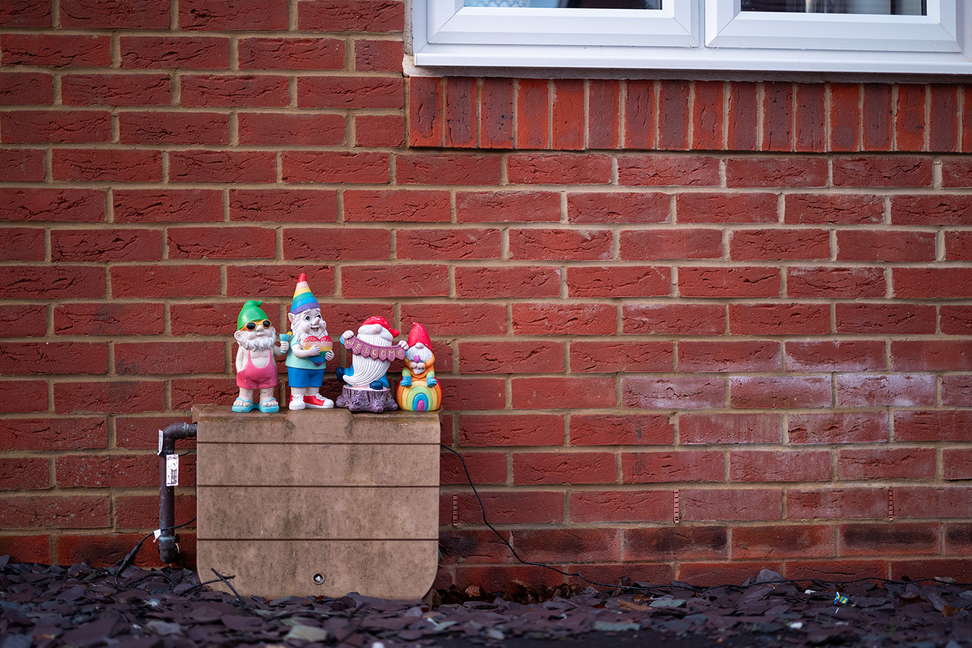 Sample 02 Nikon Z MC 50mm f/2.8 Macro Gnomes with Nikon Z5. Camera settings: 1/125 sec. f/2.8. ISO 900