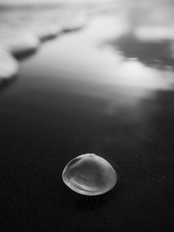 panasonic-9mm-lens-sample-photo-4