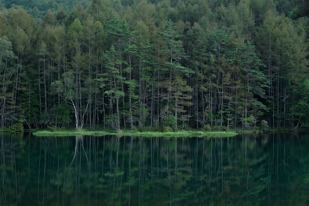 panasonic-lumix-s5-II-sample-02