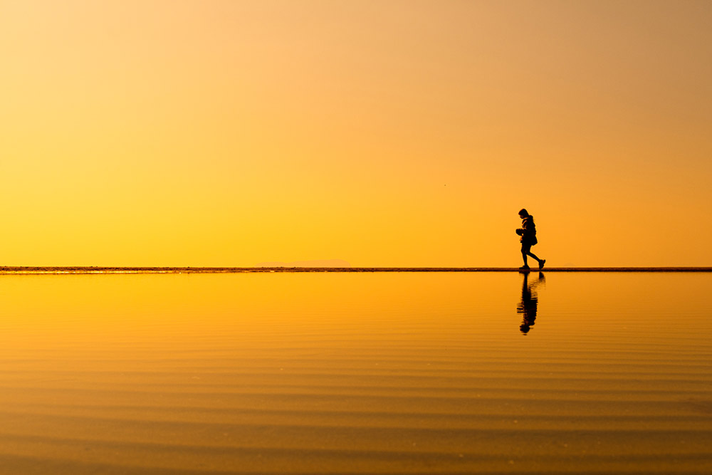 sample-image-2 sample-image-2