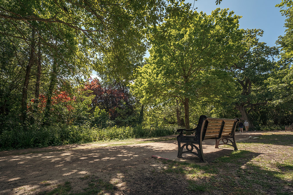 sigma-14mm-lens-sample-04 sigma-14mm-lens-sample-04