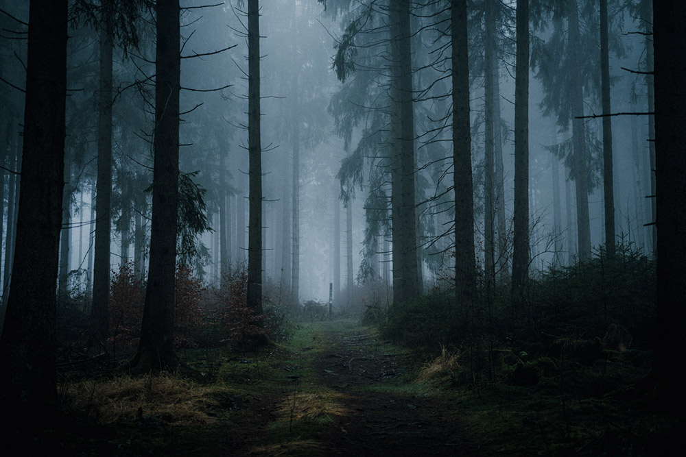 sigma-50mm-f14-art-sample-01