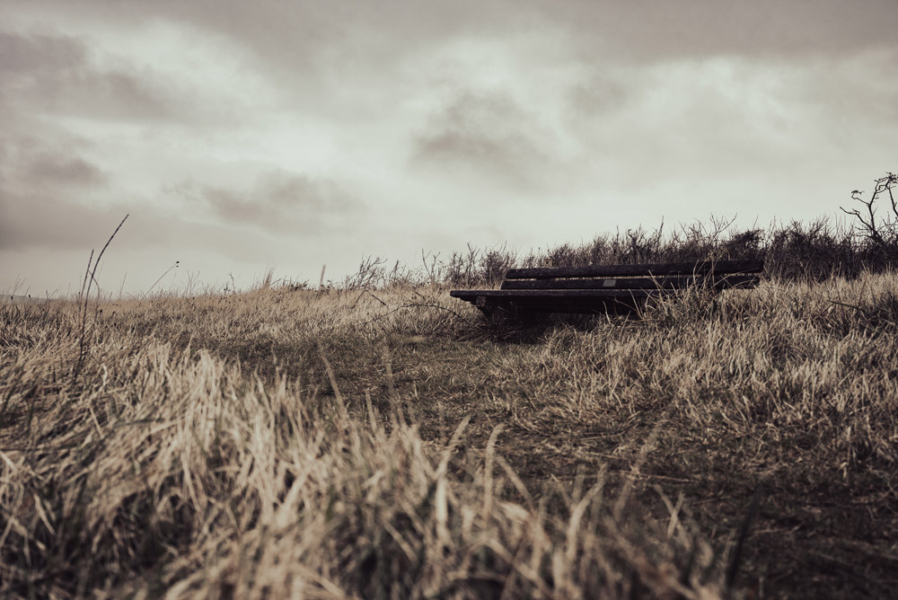 sony-16-35mm-sample-photos-7