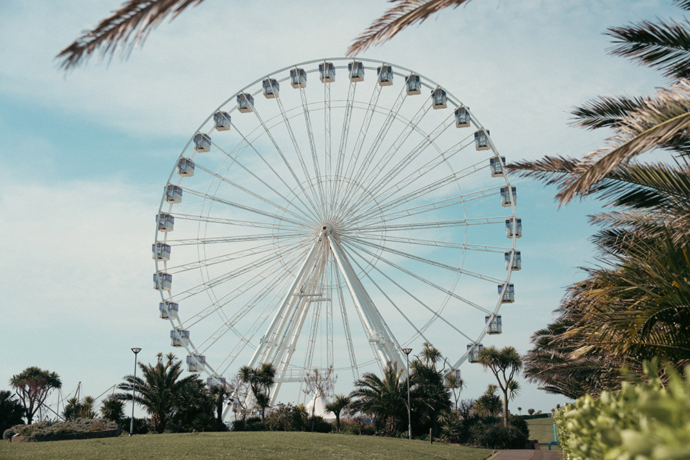 sony-24-70mm-gm-ii-sample-2