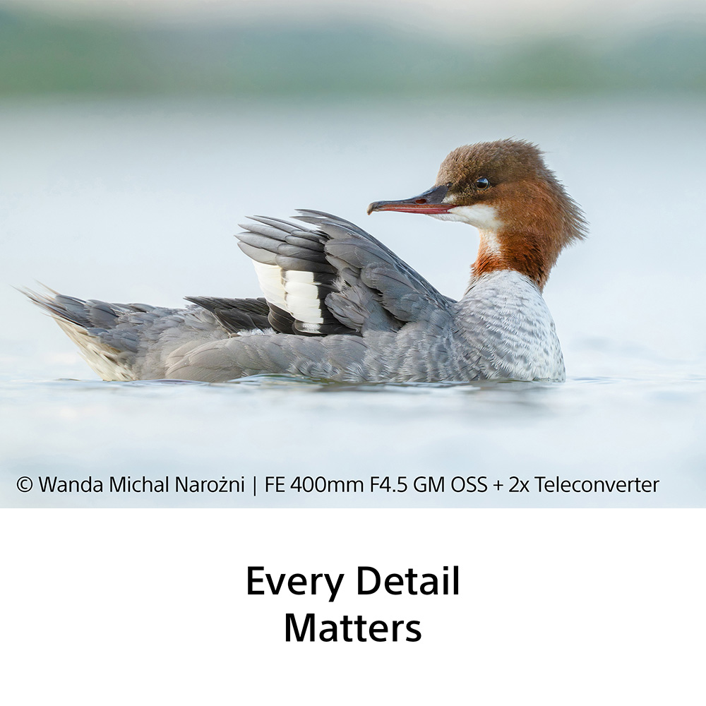 sony-400mm-f45-sample-04 sony-400mm-f45-sample-04