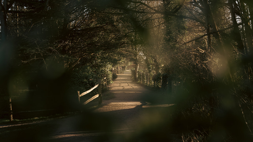 sony-50mm-f14-gm-sample-02 sony-50mm-f14-gm-sample-02