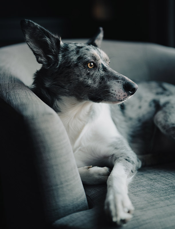 sony-50mm-f14-gm-sample-03 sony-50mm-f14-gm-sample-03