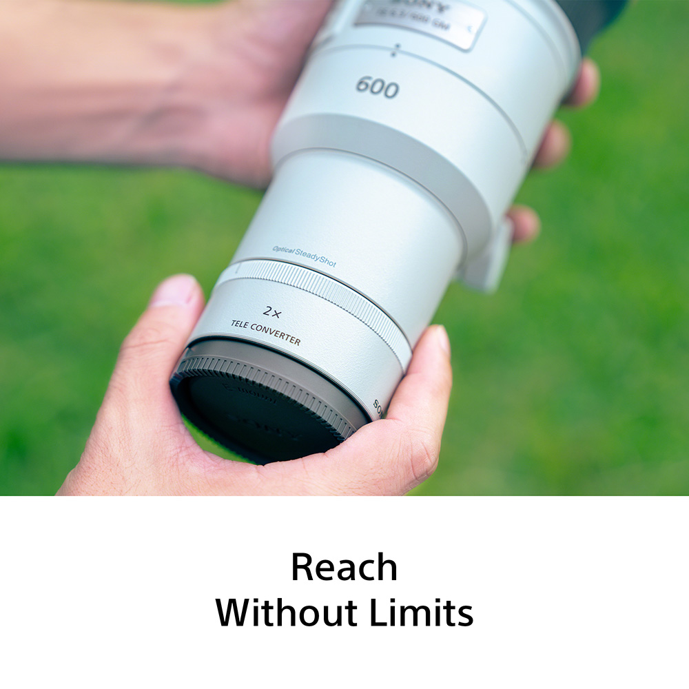 sony-600mm-f45-sample-06 sony-600mm-f45-sample-06