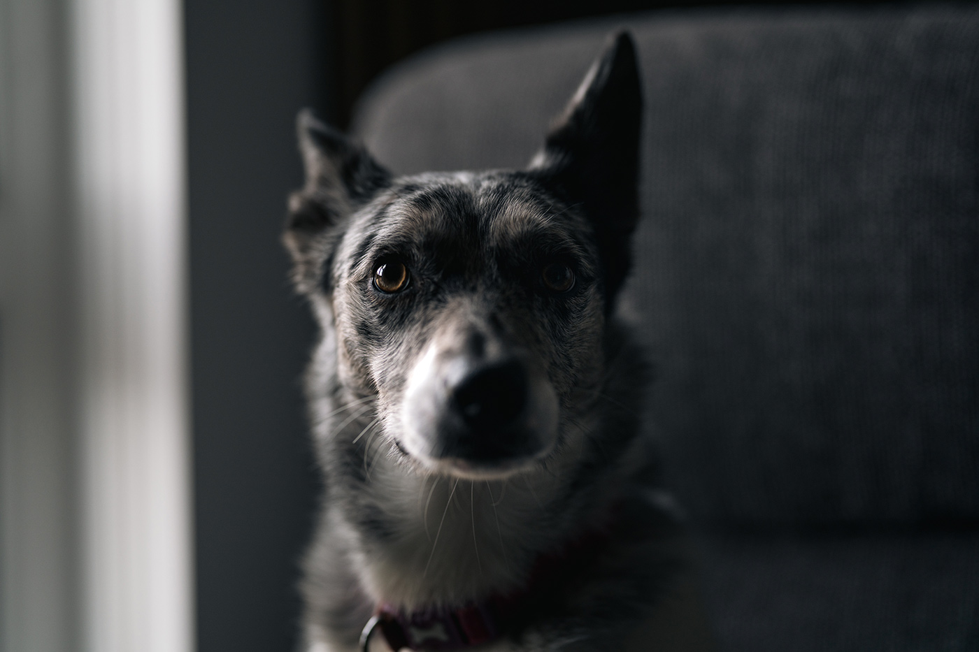 sony-85mm-gm-ii-sample-03 sony-85mm-gm-ii-sample-03