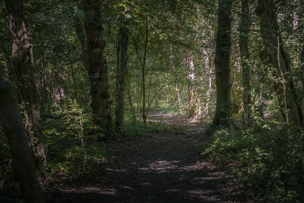 sony-a7c-ii-sample-02 sony-a7c-ii-sample-02