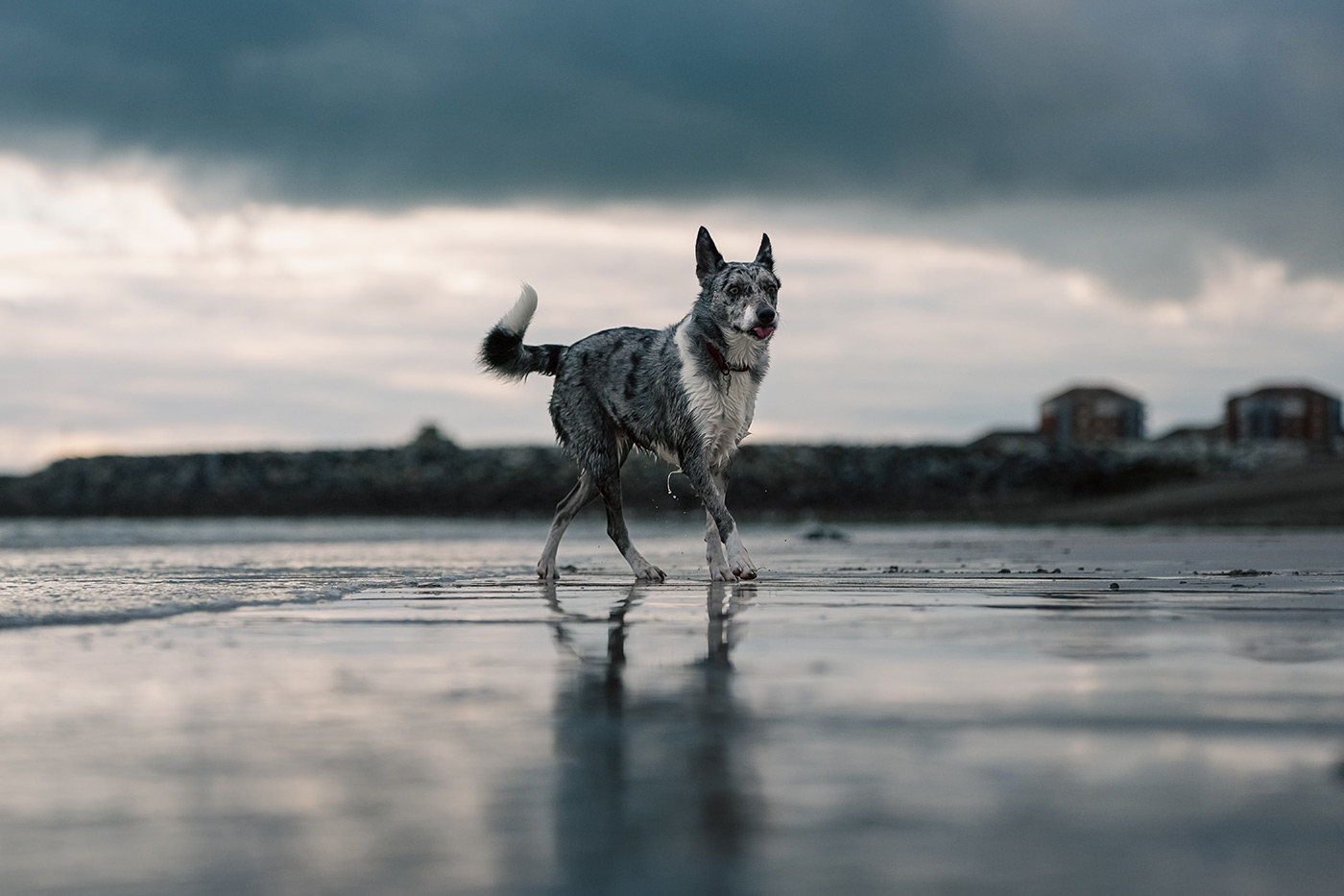 sony-fe-28-70mm-f2-gm-sample-11 sony-fe-28-70mm-f2-gm-sample-11