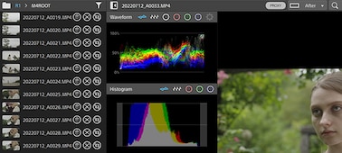 image-11-catalyst-meta-data