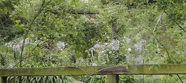 image-3-versatile-formats